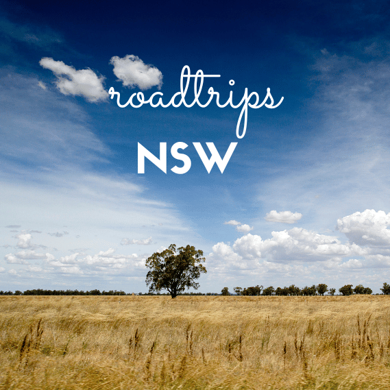 best roadtrips in NSW 