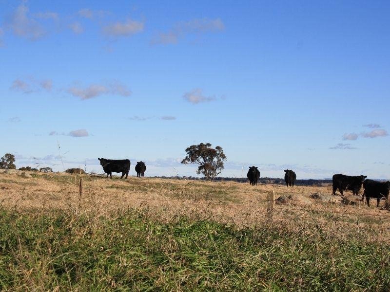 roadtrips in NSW