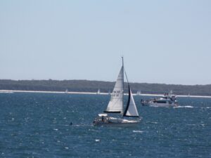 boat tours in jervis bay nsw