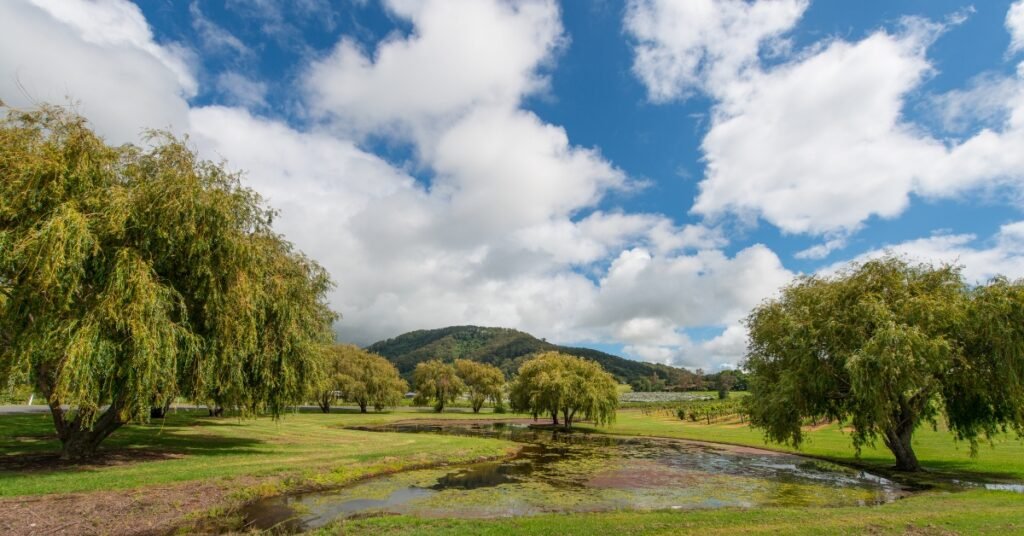 armidale roadtrip