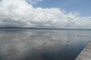 tuggerah lake 1
