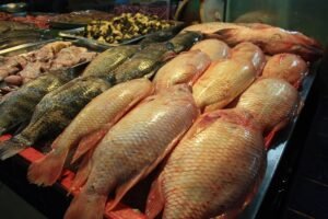 Best Things to Do in Phuket Thailand 13 fish2