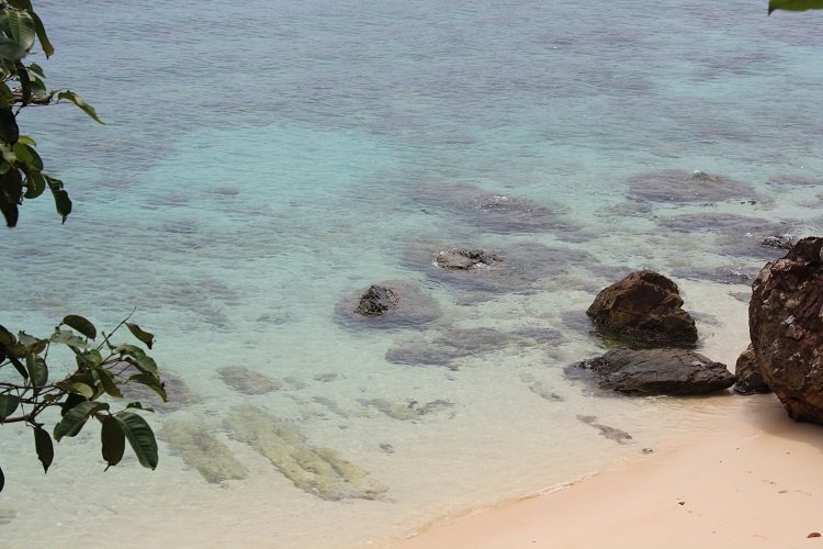 snorkelling in kapas island