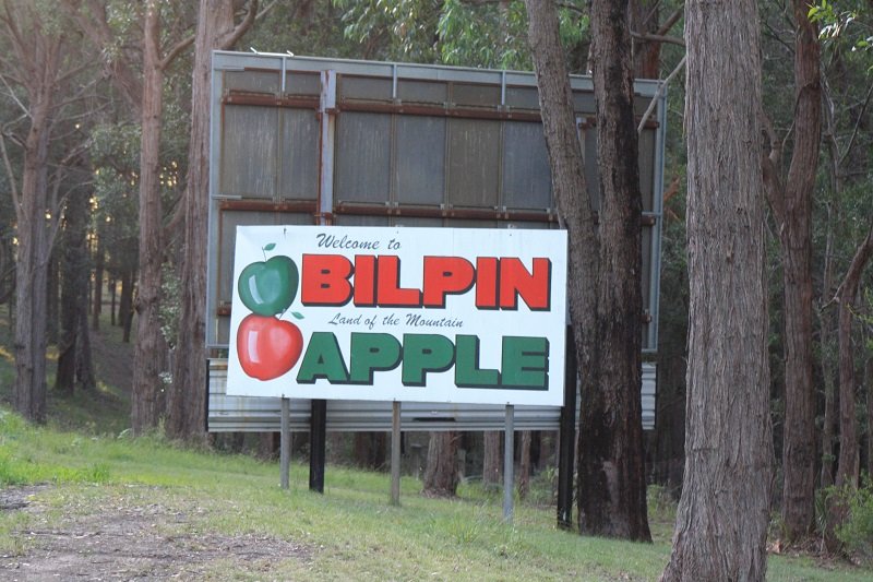 bilpin5