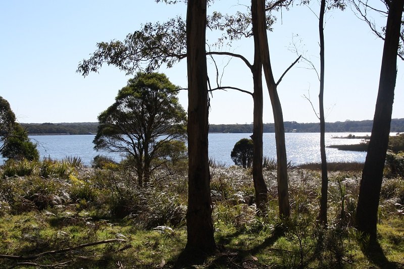 fitzroy falls in southern highlands