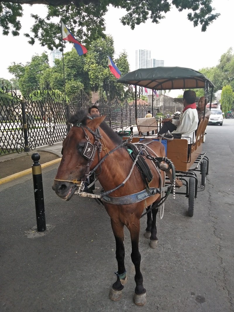 a buggy ride in intramuros walled city of manila