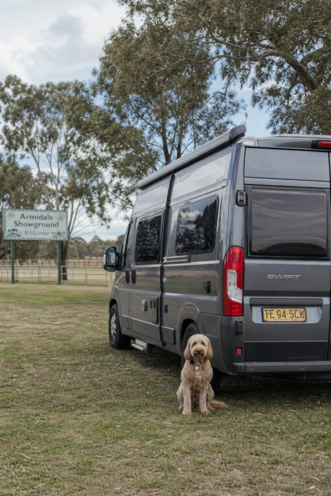 armidale camping 1