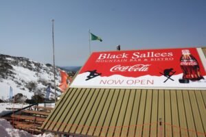 black sallees600