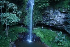 waterfall in dorrigo national park