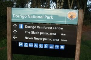 dorrigo national park armidale