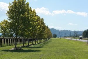 driving new england highway